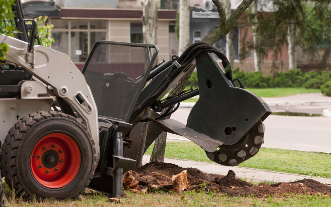Why You Should Consider Stump Grinding Dallas Services?
