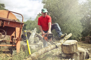 Professional stump removal and grinding